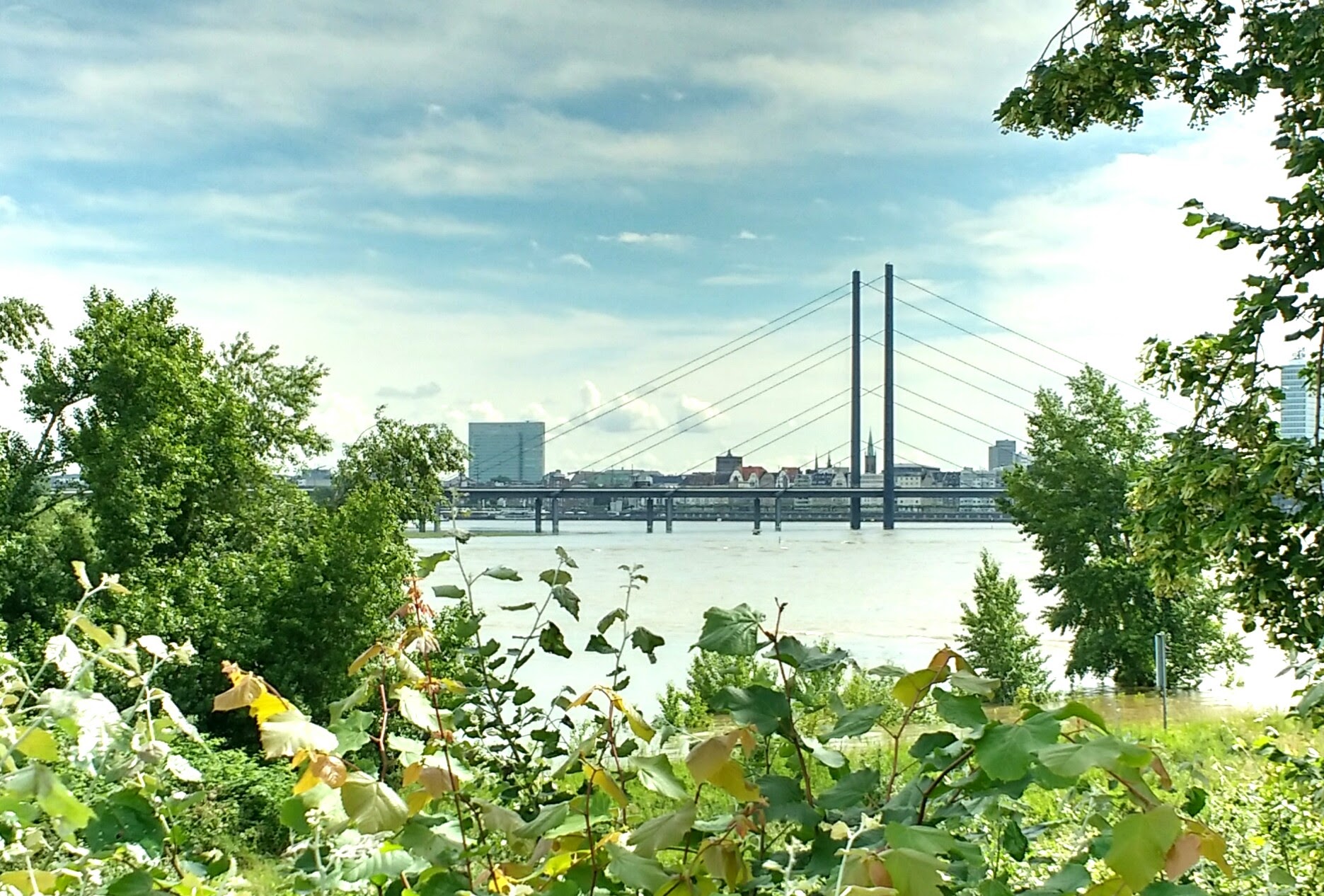 Düsseldorf glimpsed through the trees.