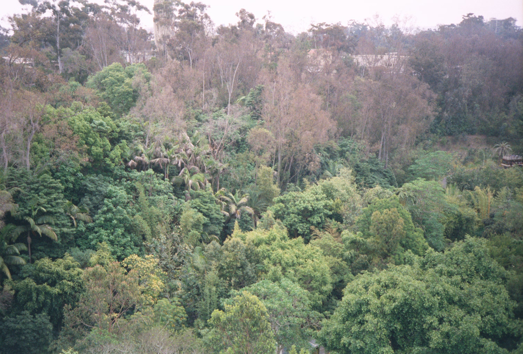 20010526b_Chairlift_San_Diego_Zoo_007_4A