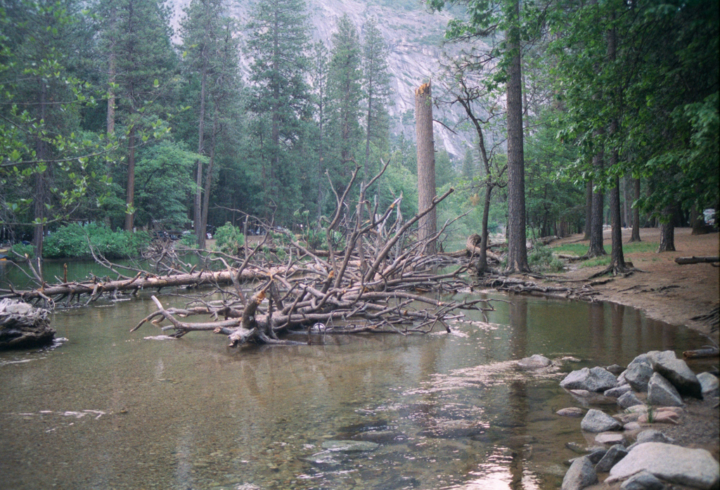 20010529a_Morning_in_Yosemite_Valley_009_7