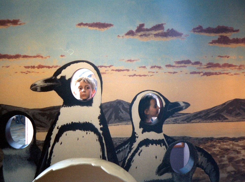 20010605_Penguins_Monterey_Bay_Aquarium_028_25A