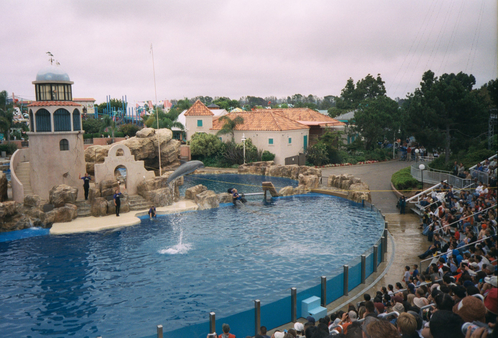 20010527_Whale_and_Dolphin_Show_Dolphin_Jumping_Sea_World_San_Diego_009_6A