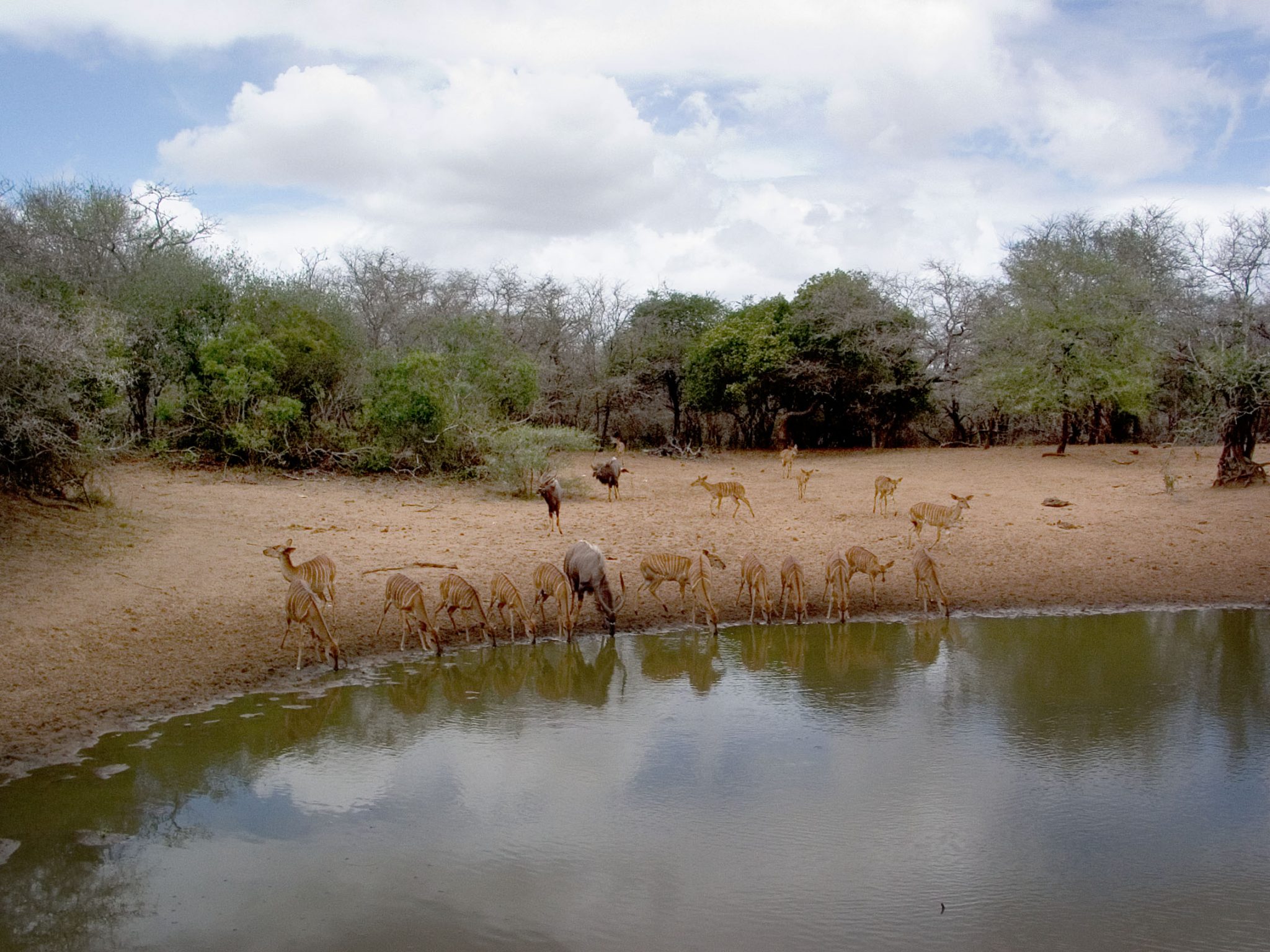 Mkuze Game Reserve